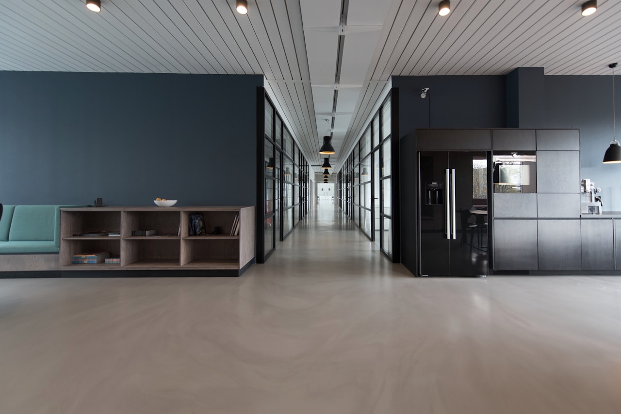 Commercial pest control in Holland